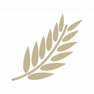 Restaurant Paxos Oldenbrok